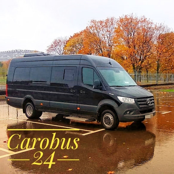 Mercedes Sprinter VIP