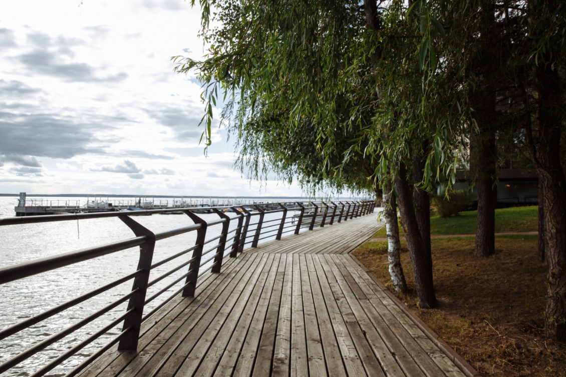 Кадр 58 из 111