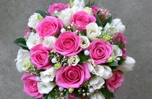 Anna flowers