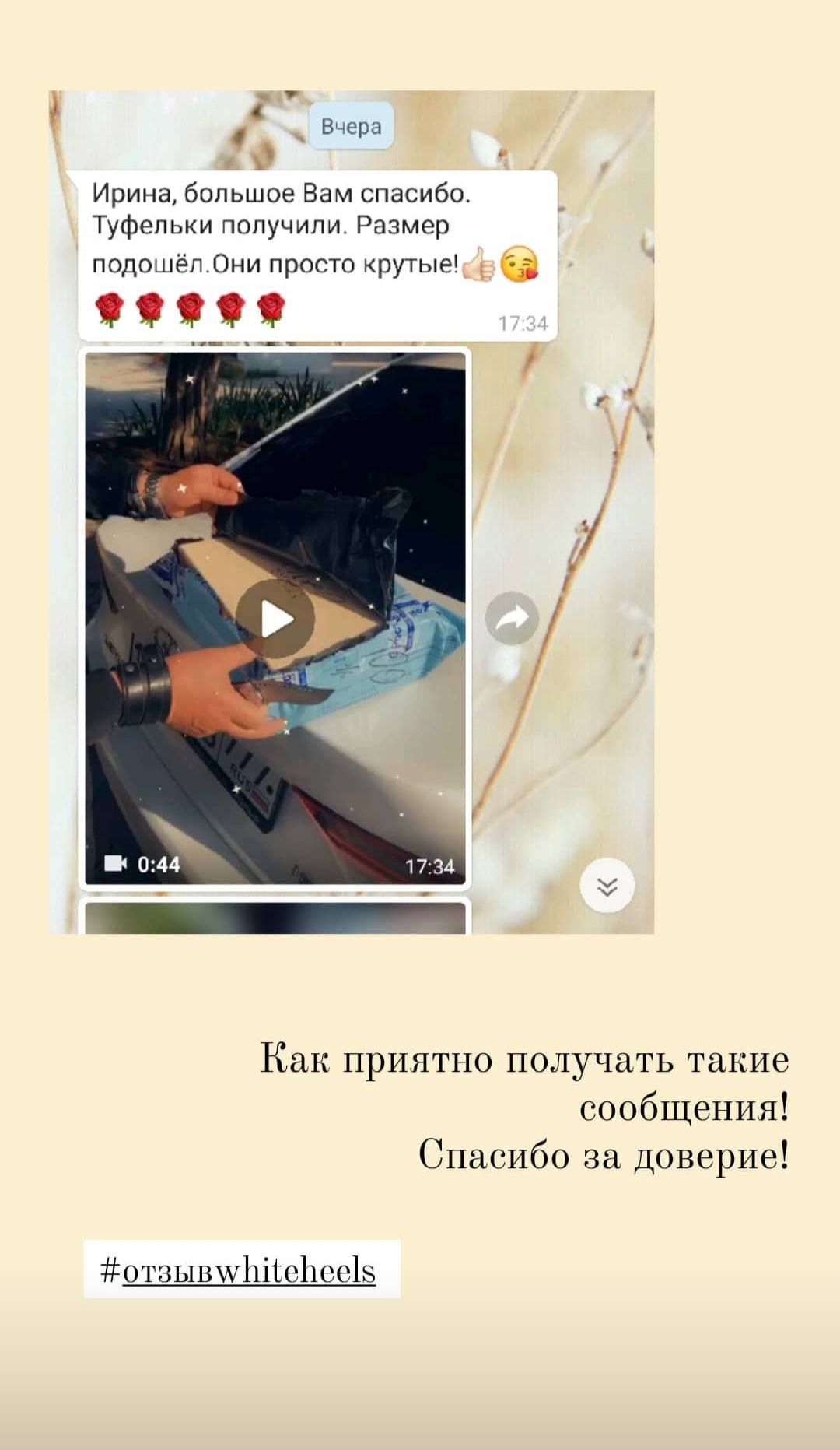 Портфолио