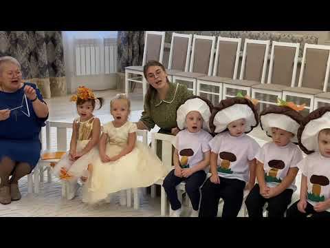 Видео