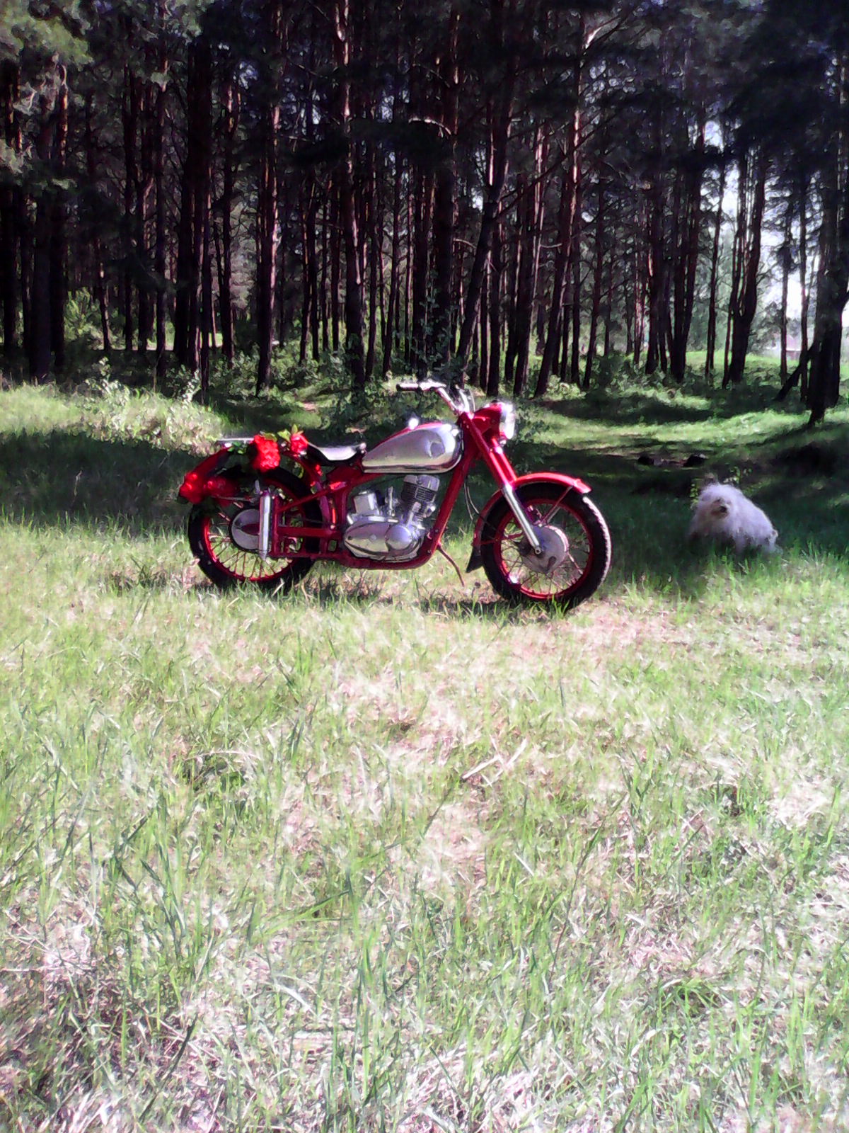 Кадр 84 из 200