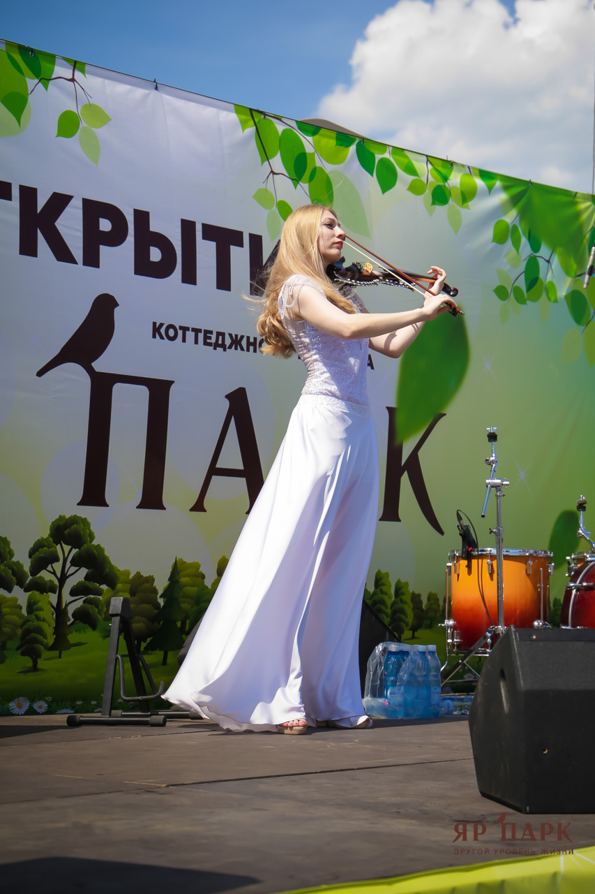 Violin Solo