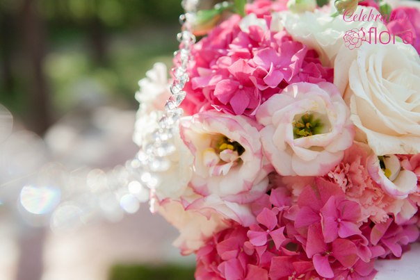 Celebration Flora