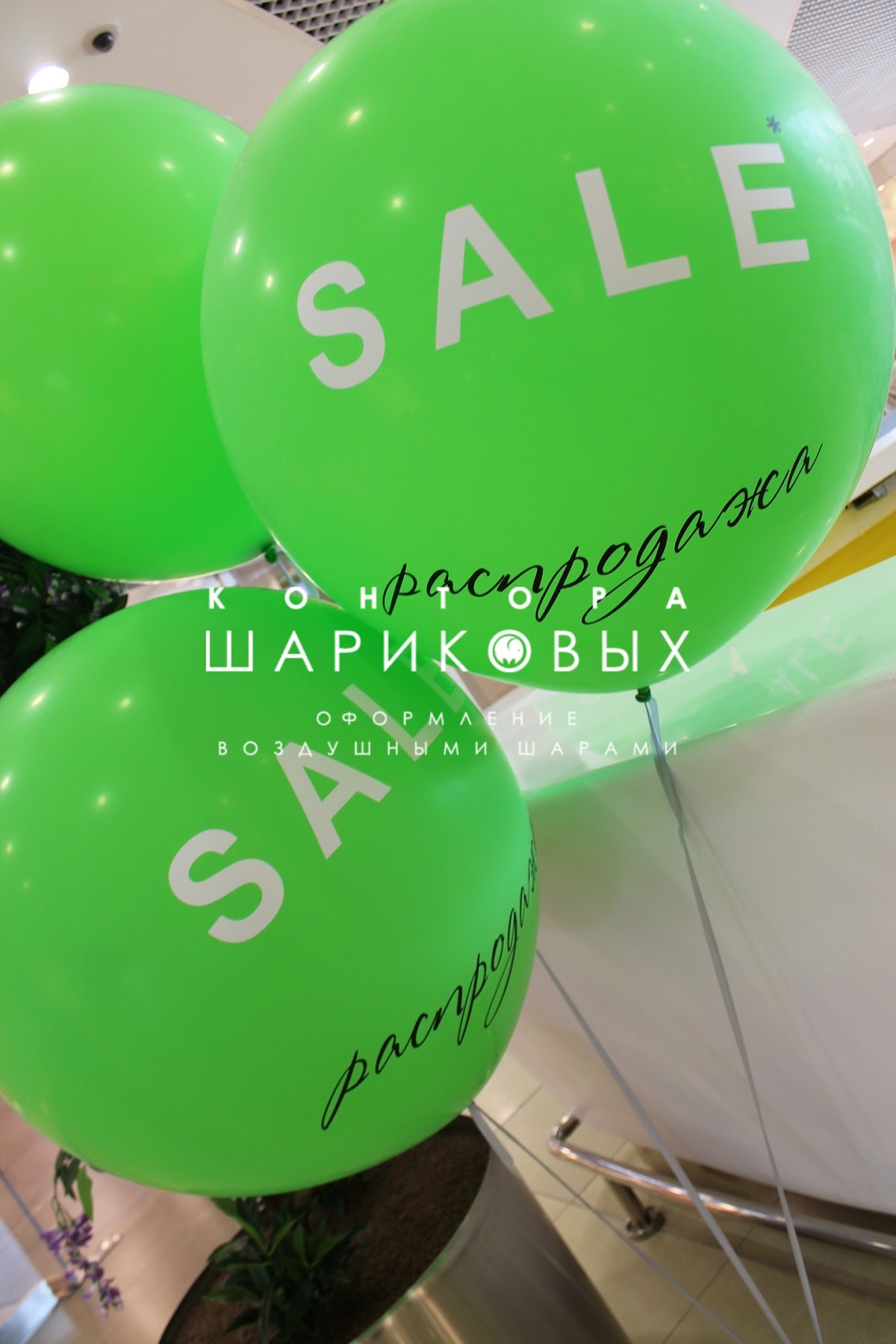 Кадр 116 из 168