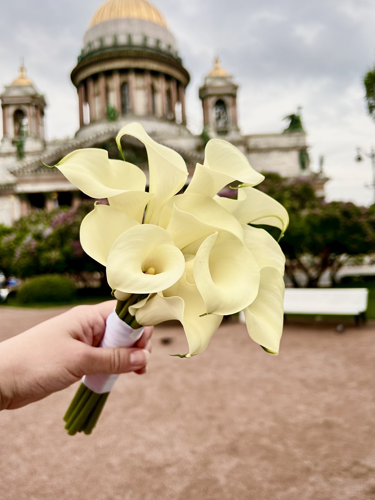Tropicana Flowers
