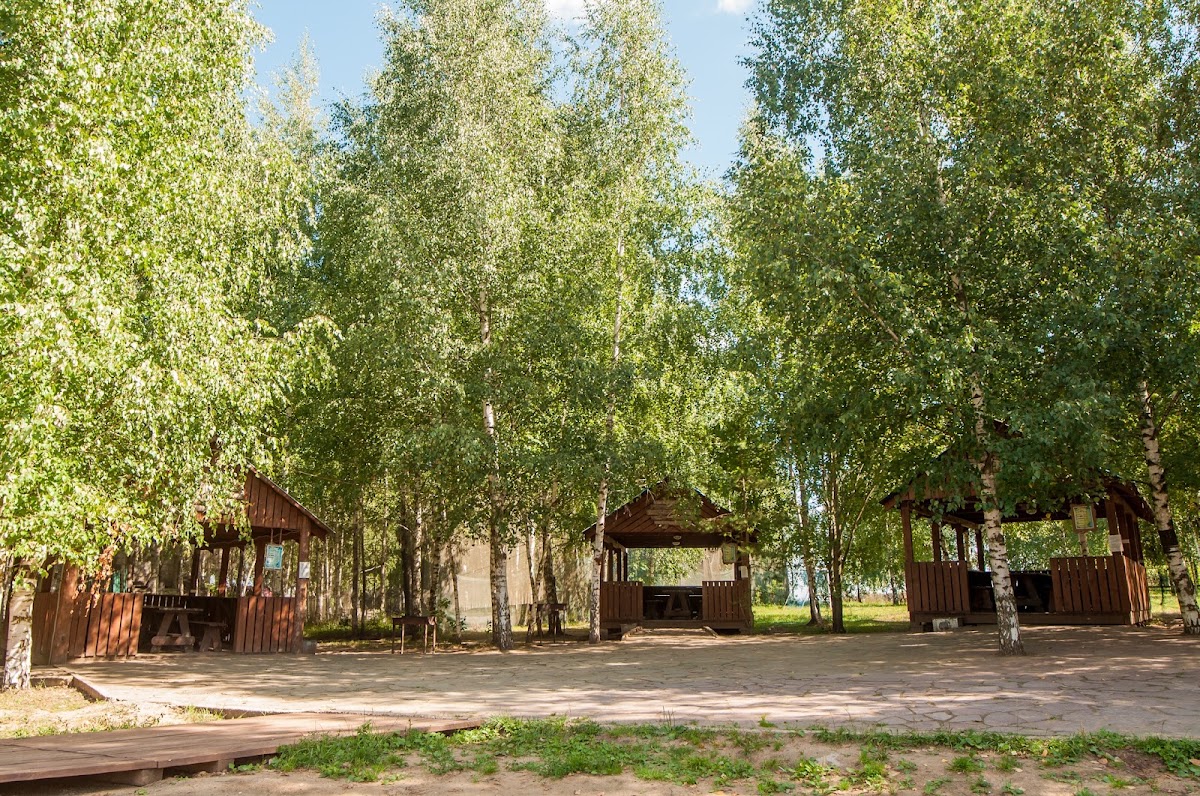 Фотогалерея ресторана