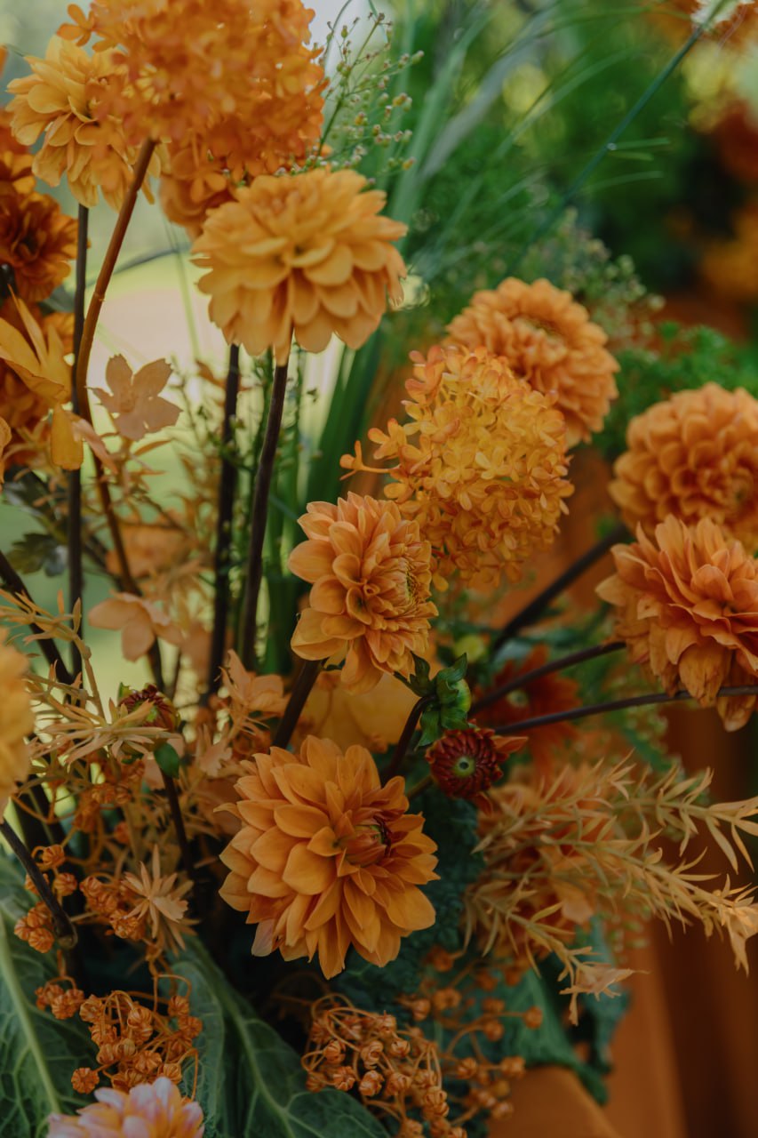‘garden of fire’