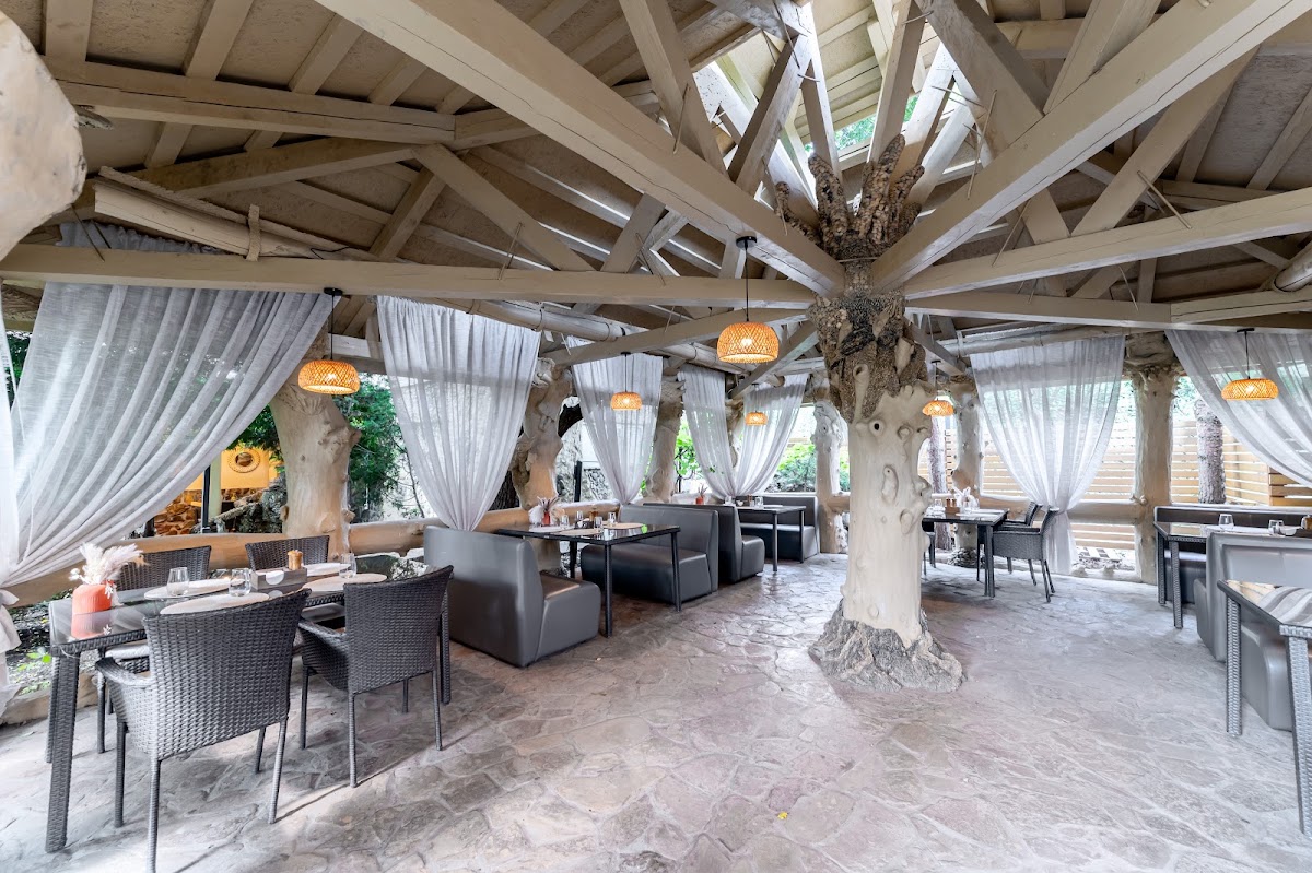 Eco-lounge
