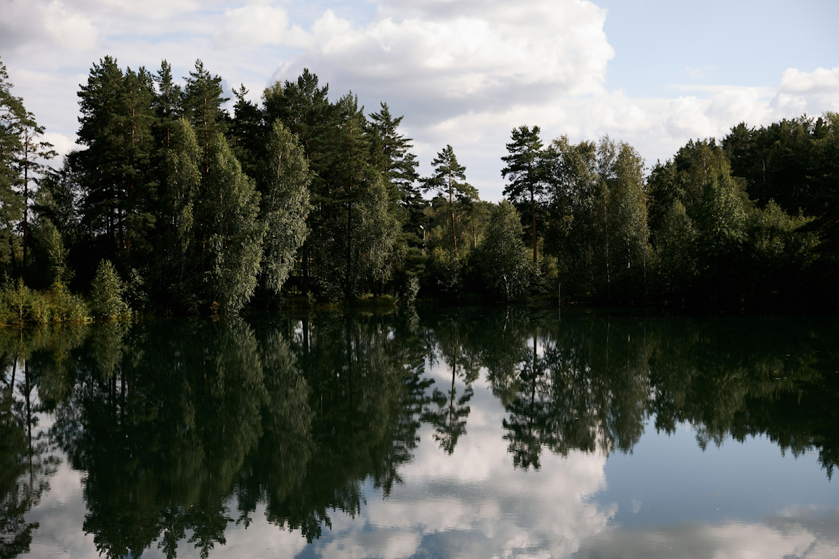 Фотогалерея ресторана