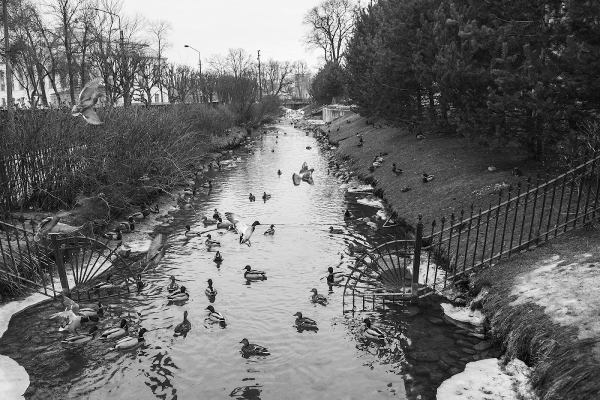 Кадр 40 из 56