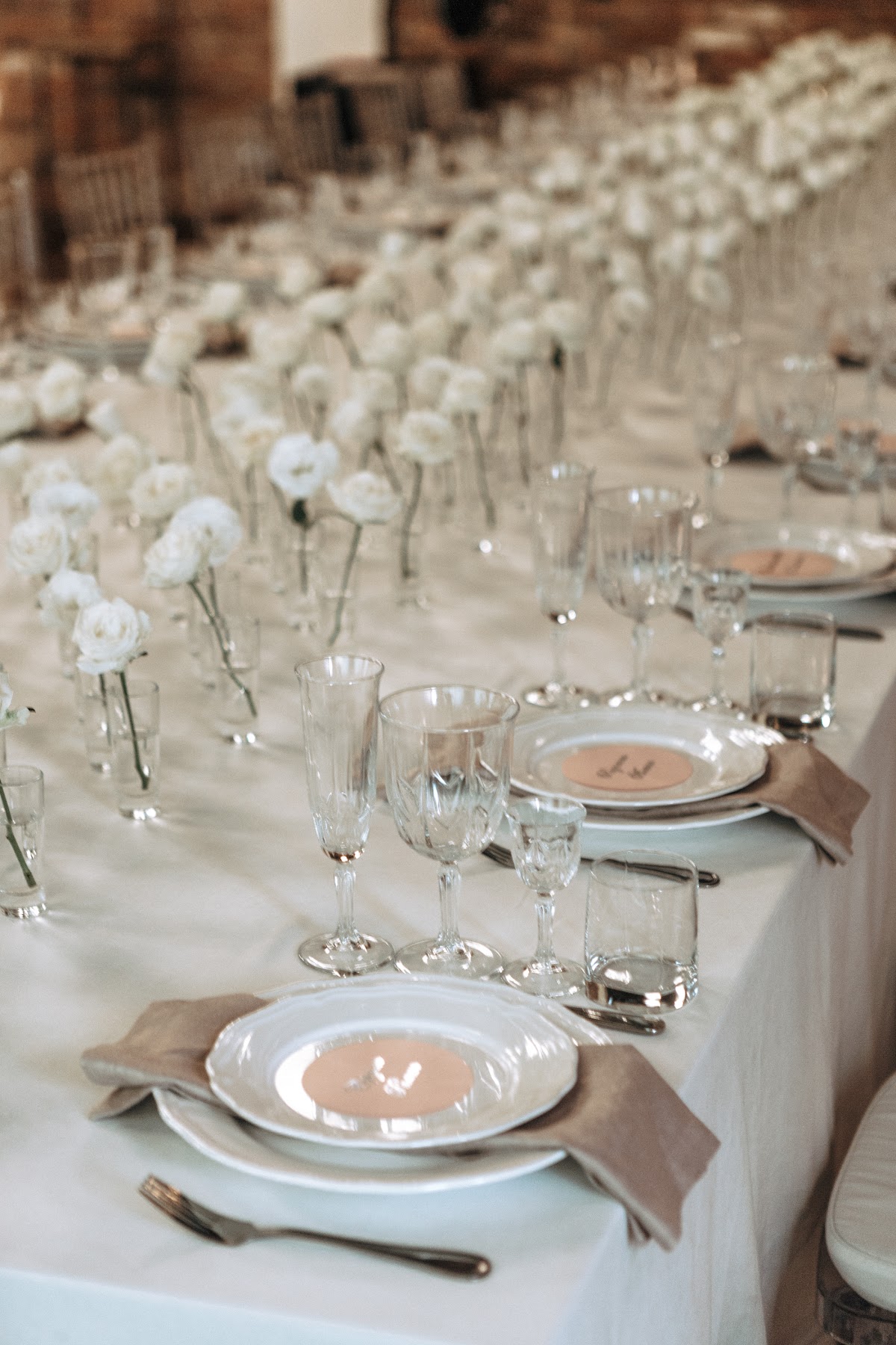 Bloom room