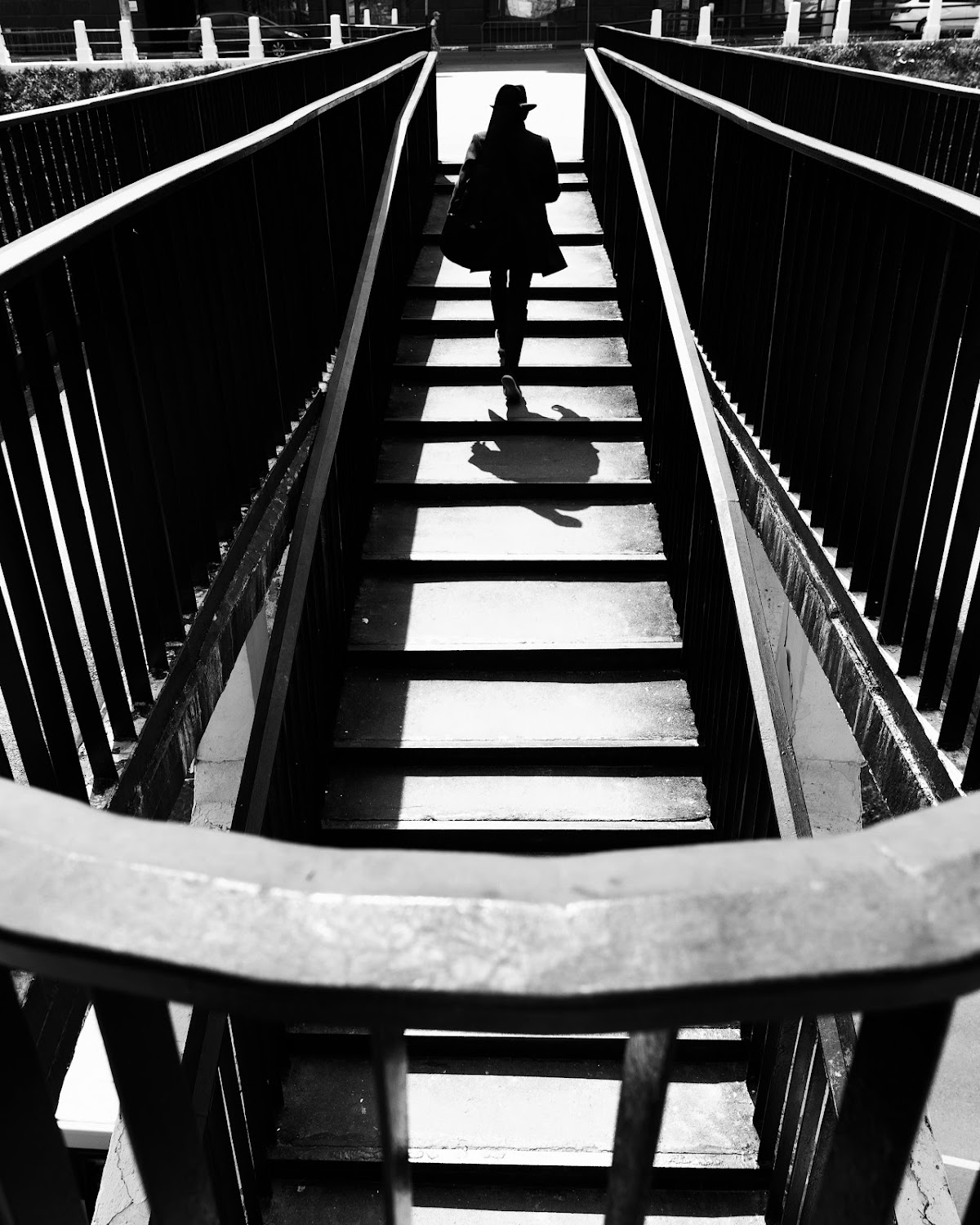 Портфолио: Портрет