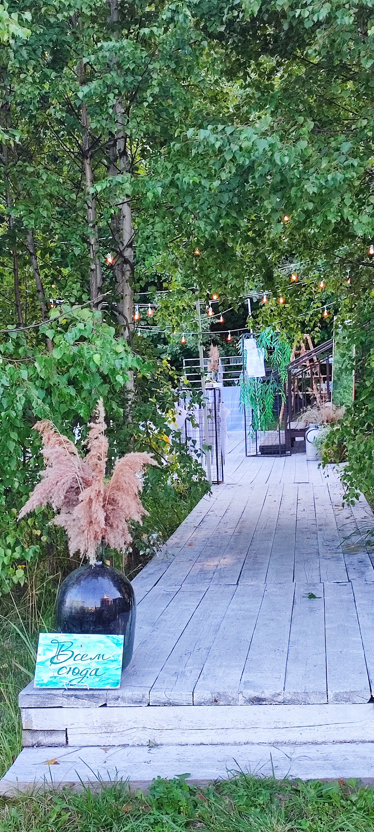 Кадр 33 из 43