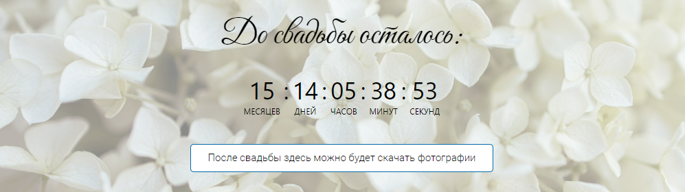 Портфолио