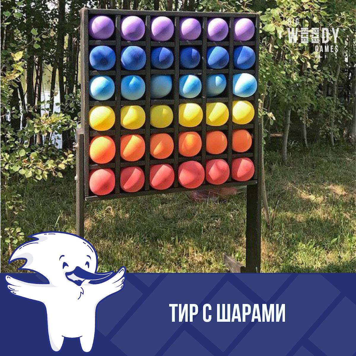 Портфолио