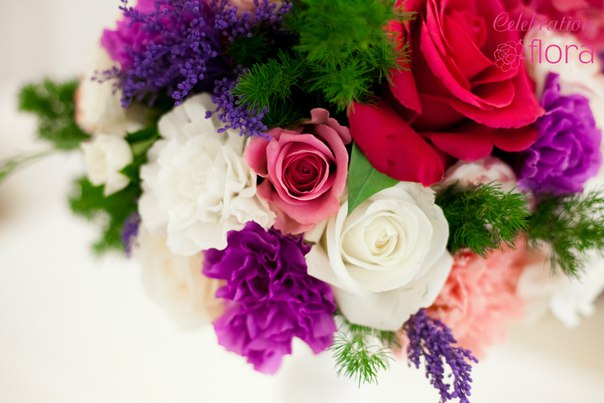 Celebration Flora