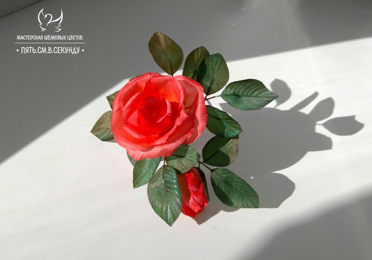Фотографии
