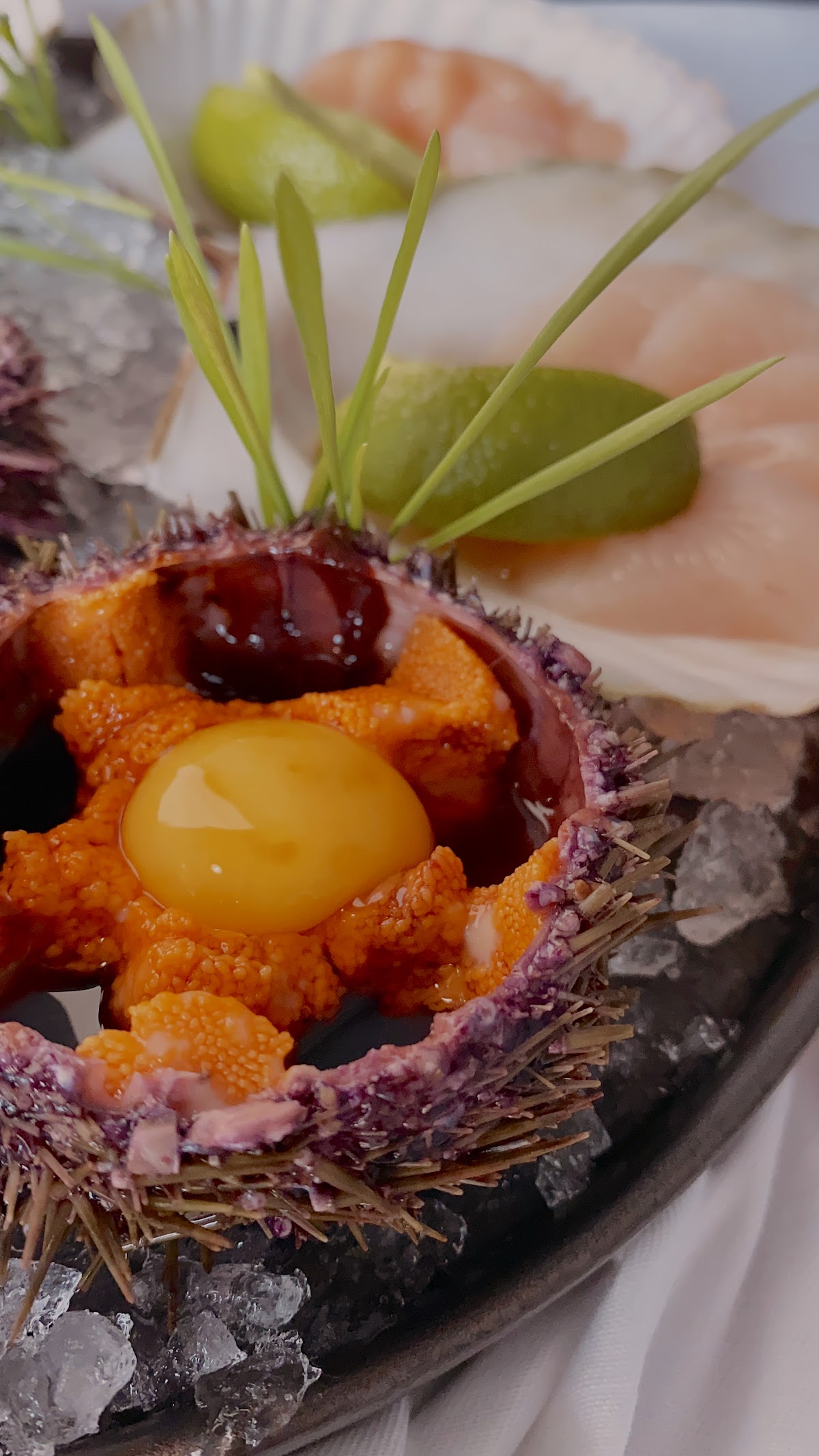 Бутик живых морепродуктов Морской мир