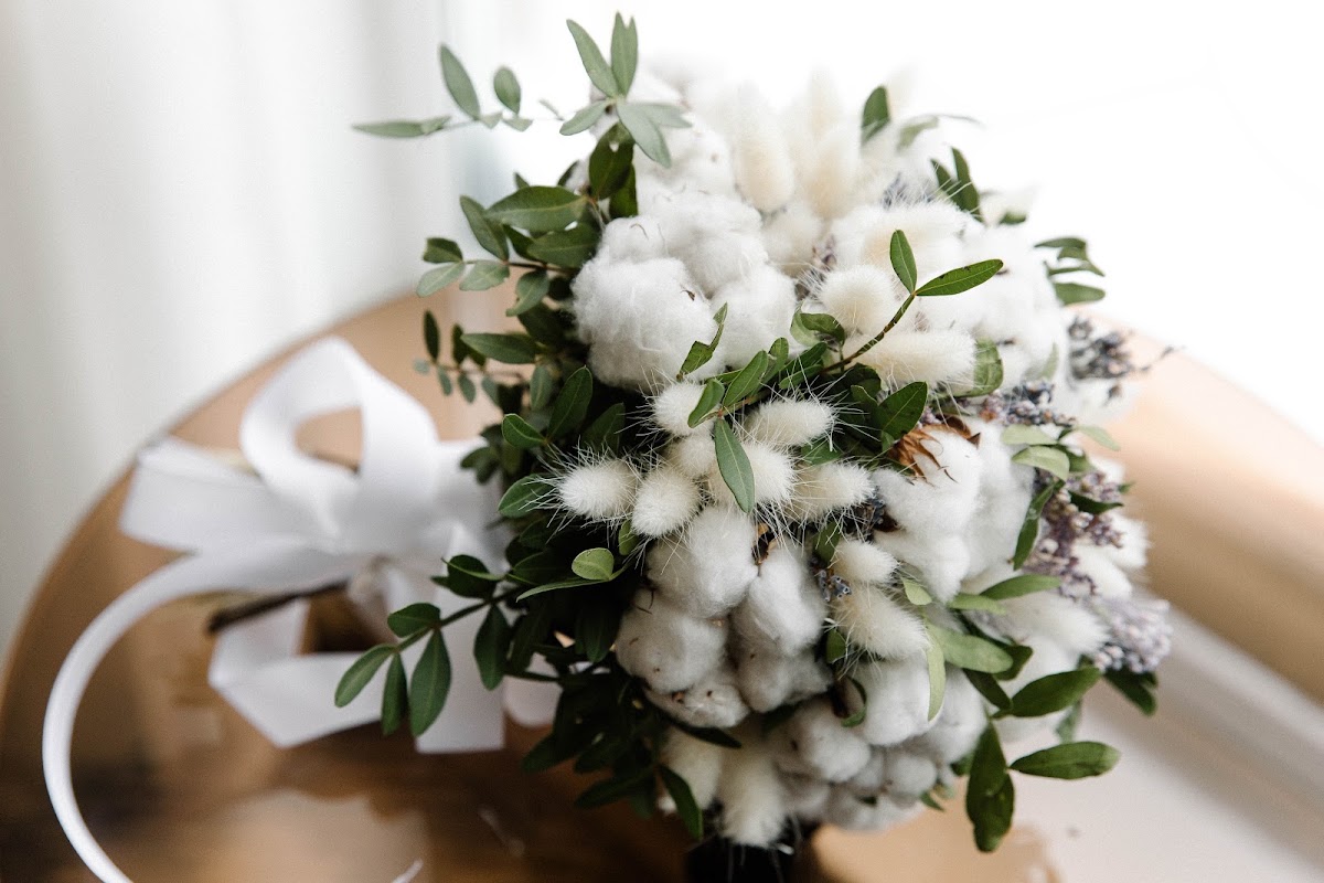 Cotton