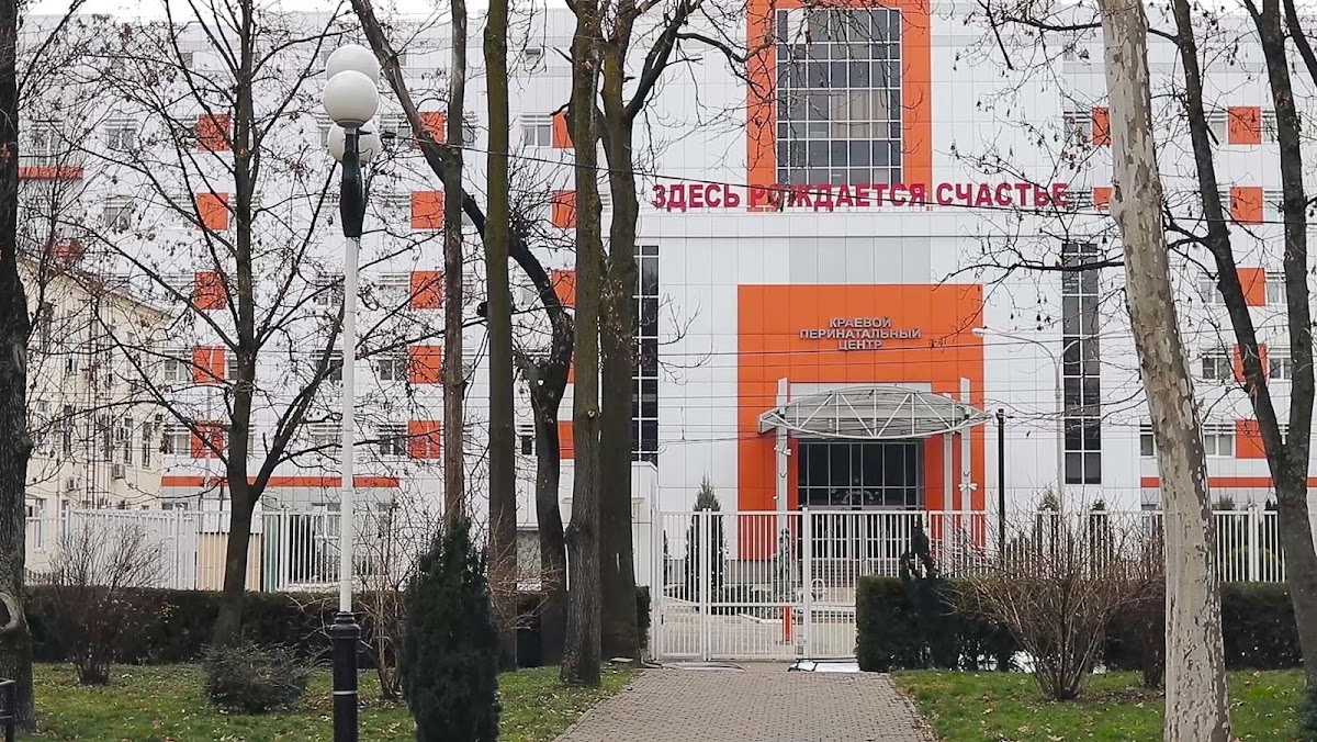 Портфолио: Выписка из роддома