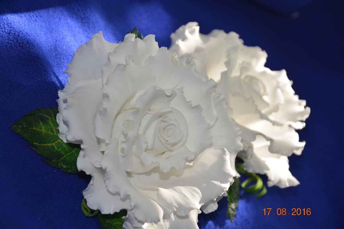 Кадр 41 из 42