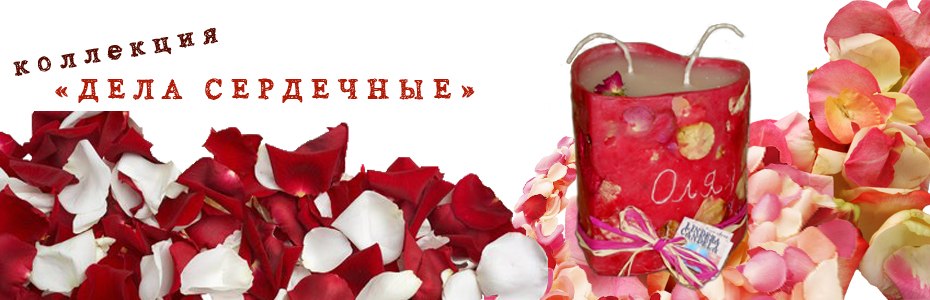 Портфолио