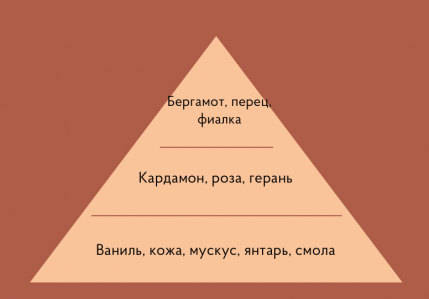 Портфолио