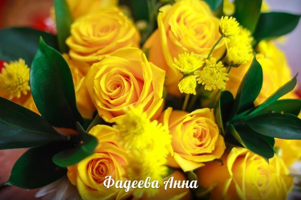 Портфолио