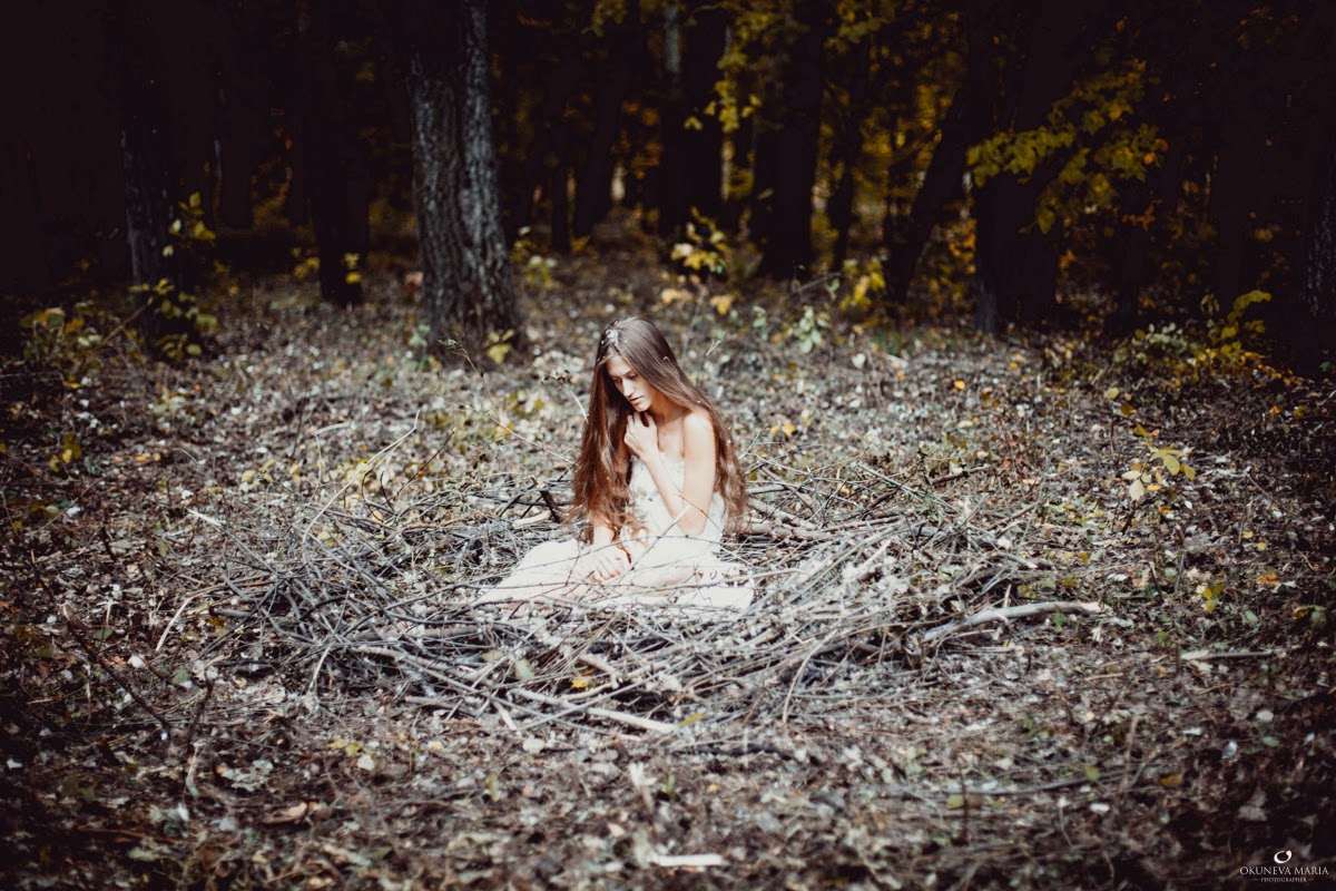Birth of bird