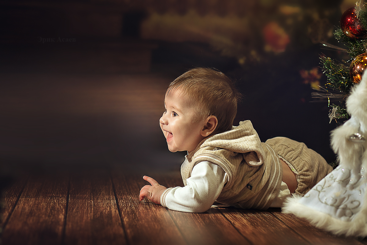 Портфолио: Новогодняя фотосъемка