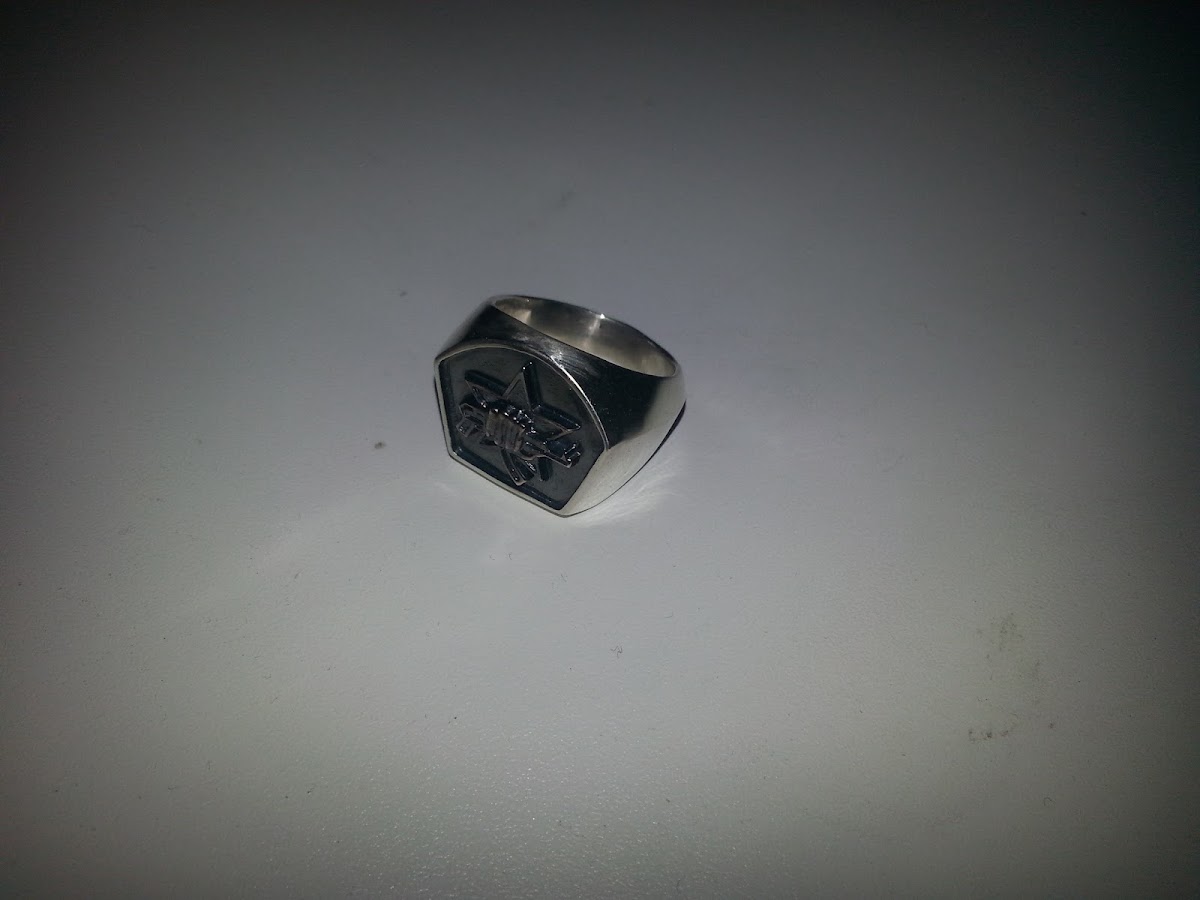 Кадр 135 из 181