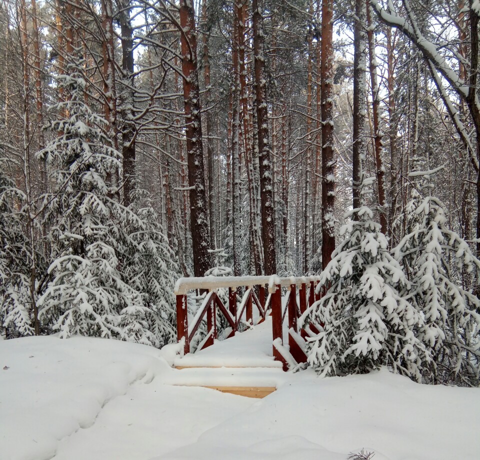 Фотогалерея ресторана