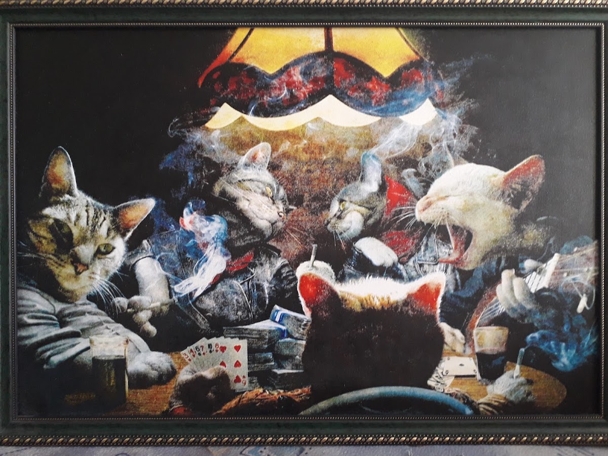 Игорь Коготков