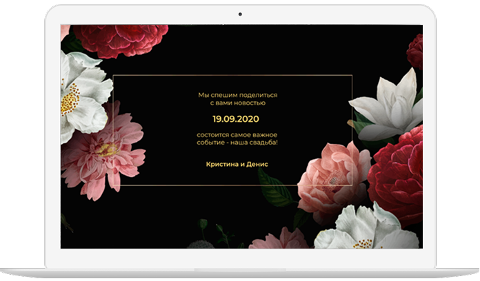 Портфолио