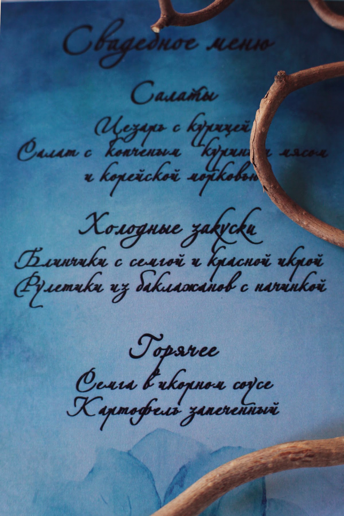 Анастасия  и Илья