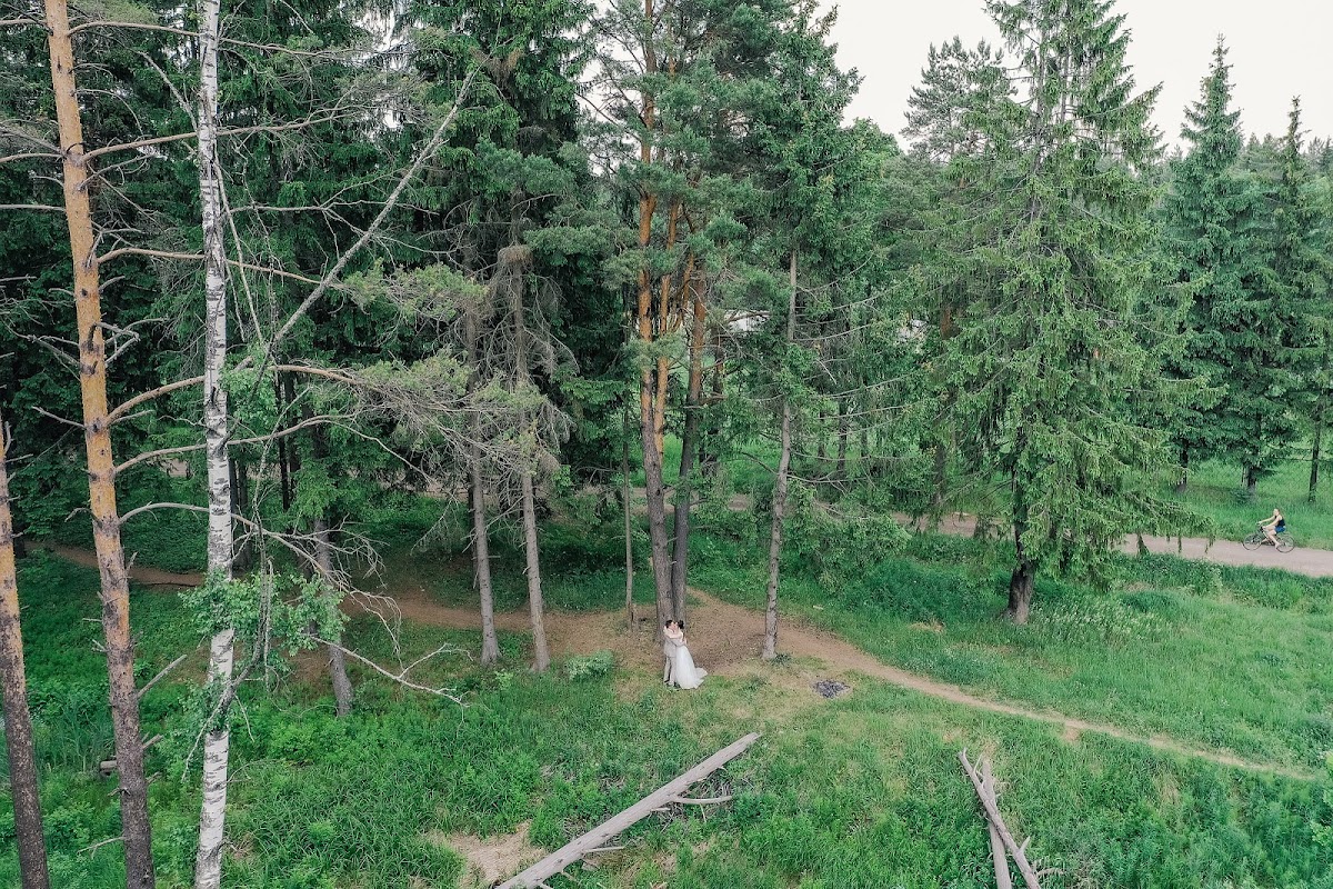 Кадр 130 из 200