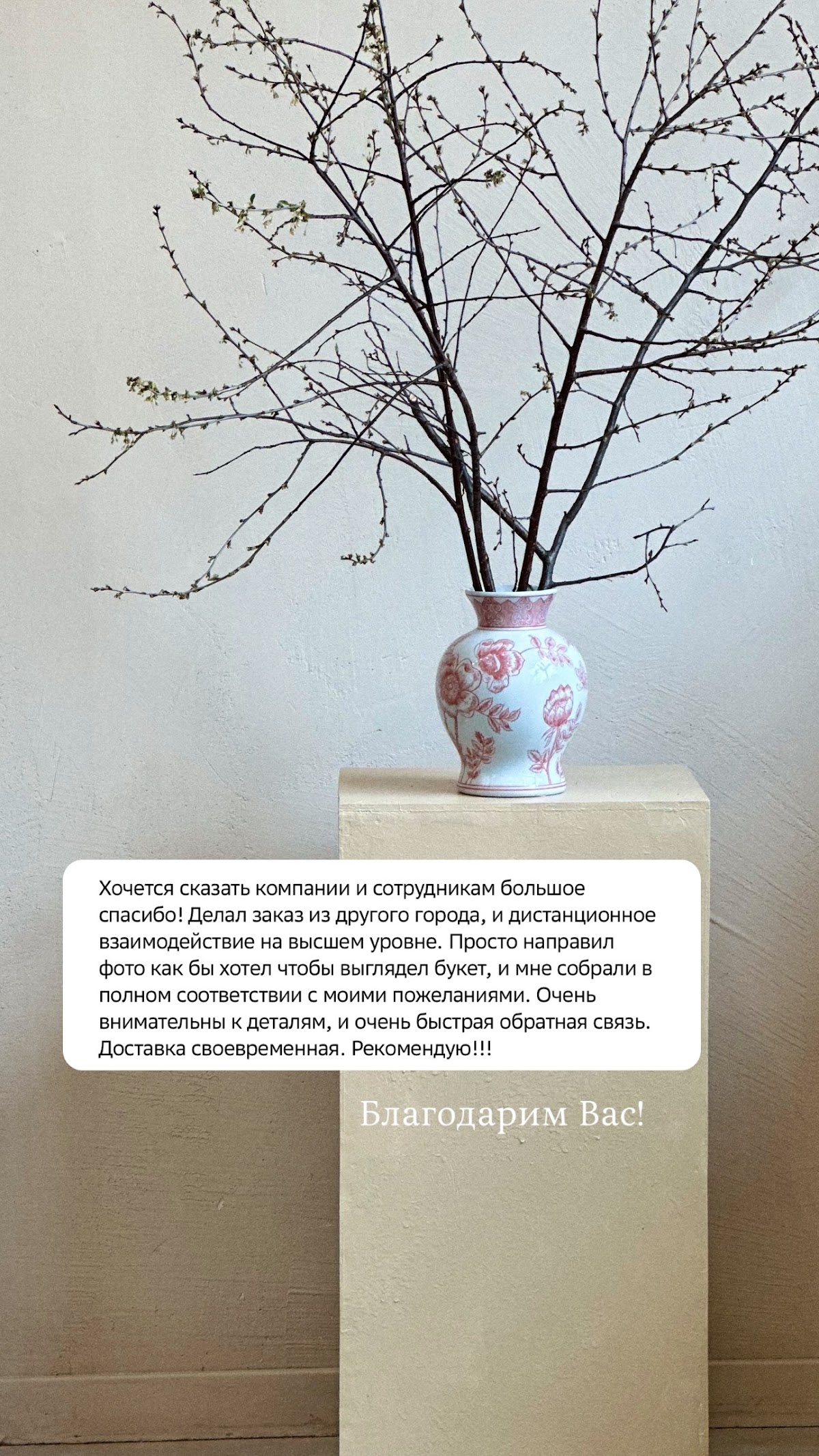 Отзывы
