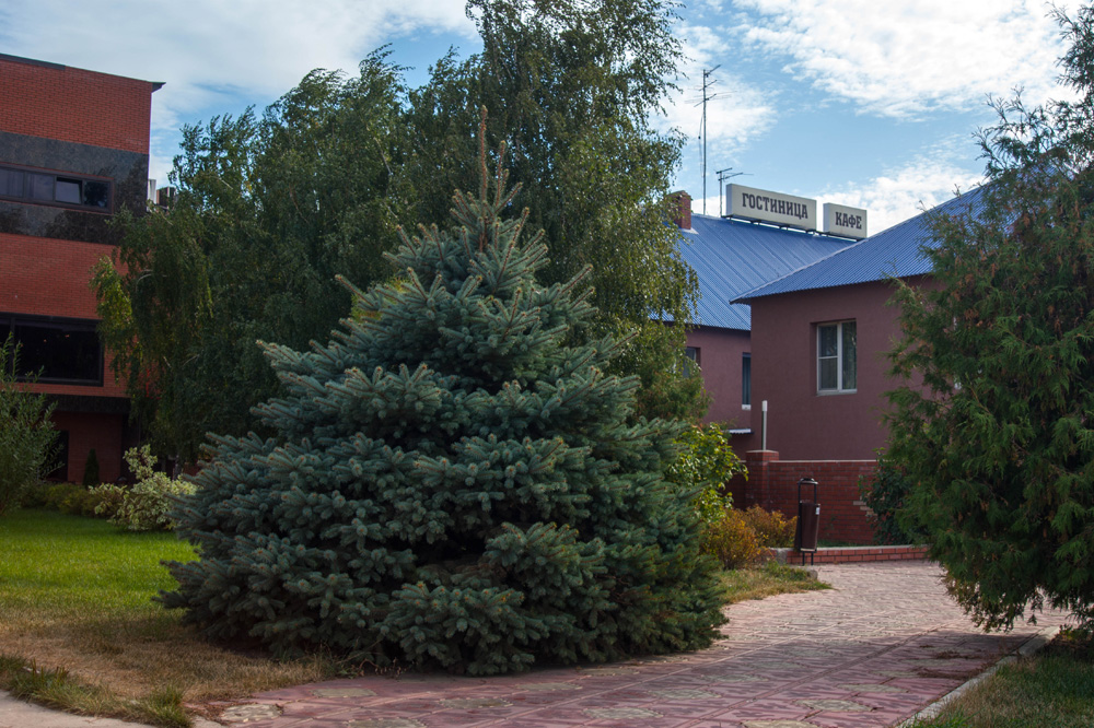 Фотогалерея ресторана