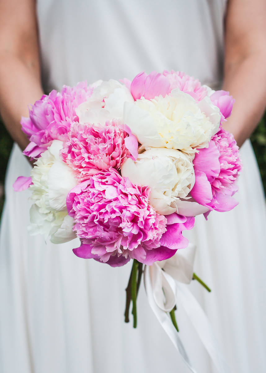MORE flowers — кадр 2 из 11