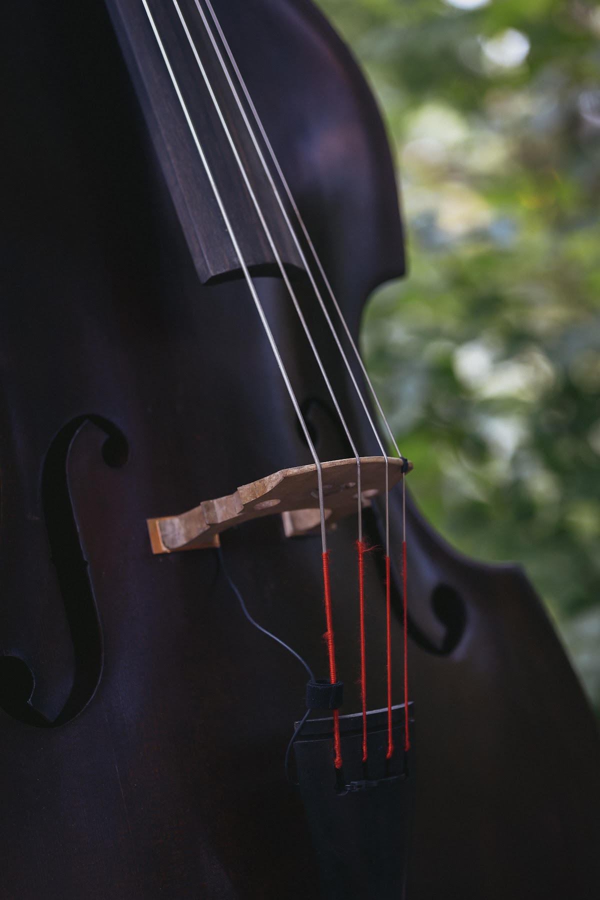 Кадр 58 из 77