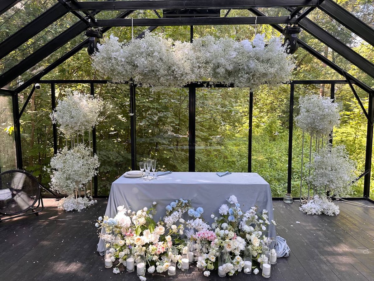 Sova Decor