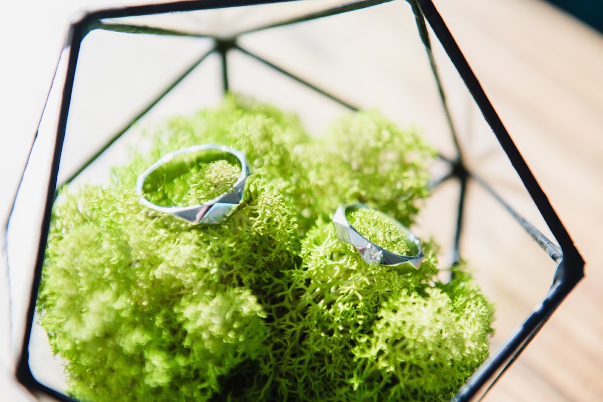 Свадебный отчёт