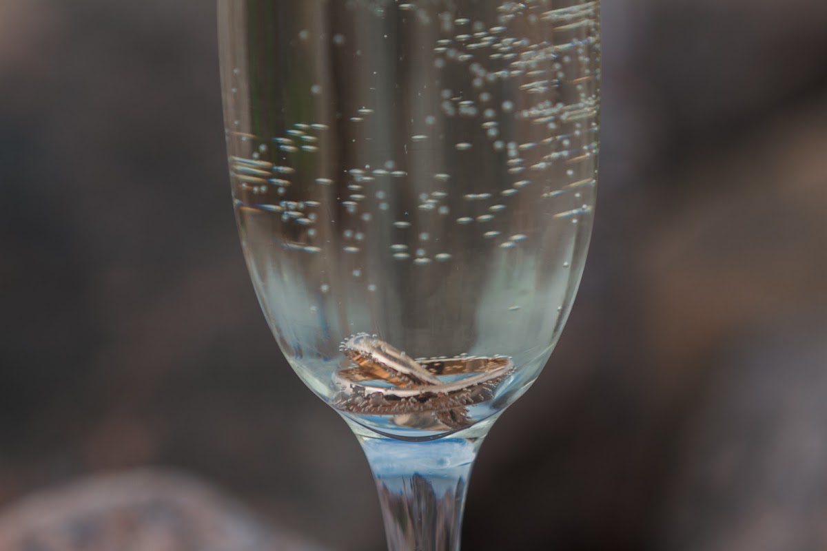Анастасия и Павел