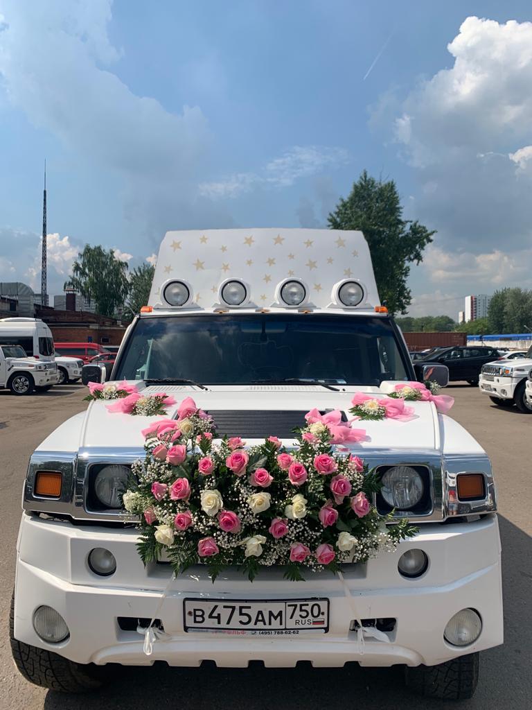 Фотографии