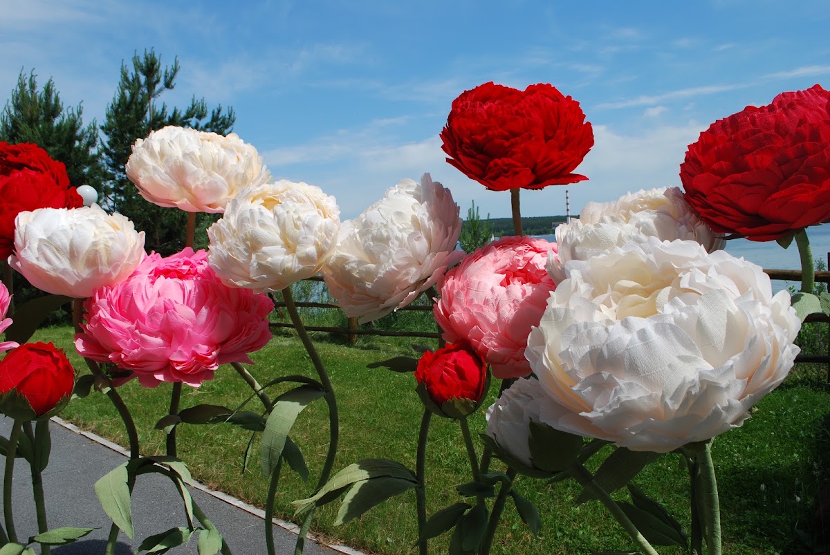 ПряникиDecor