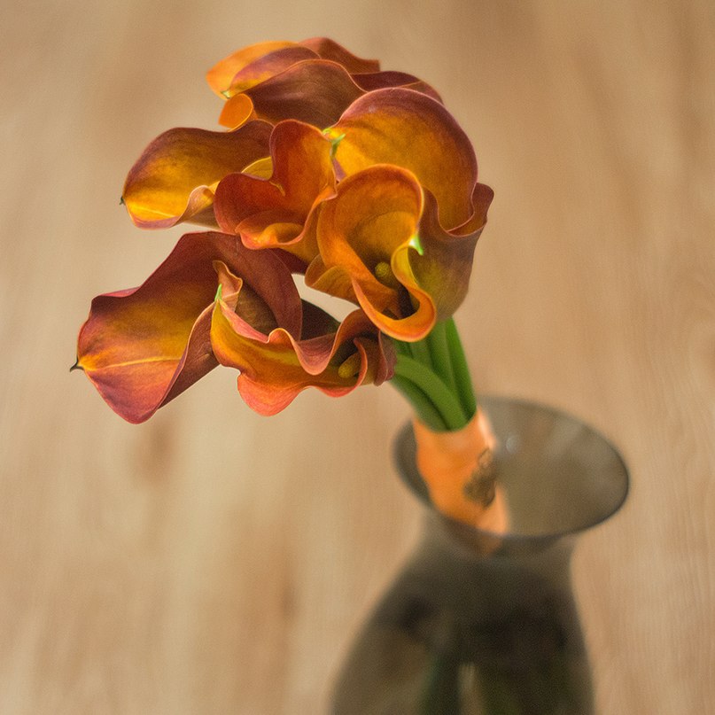 Apedecor
