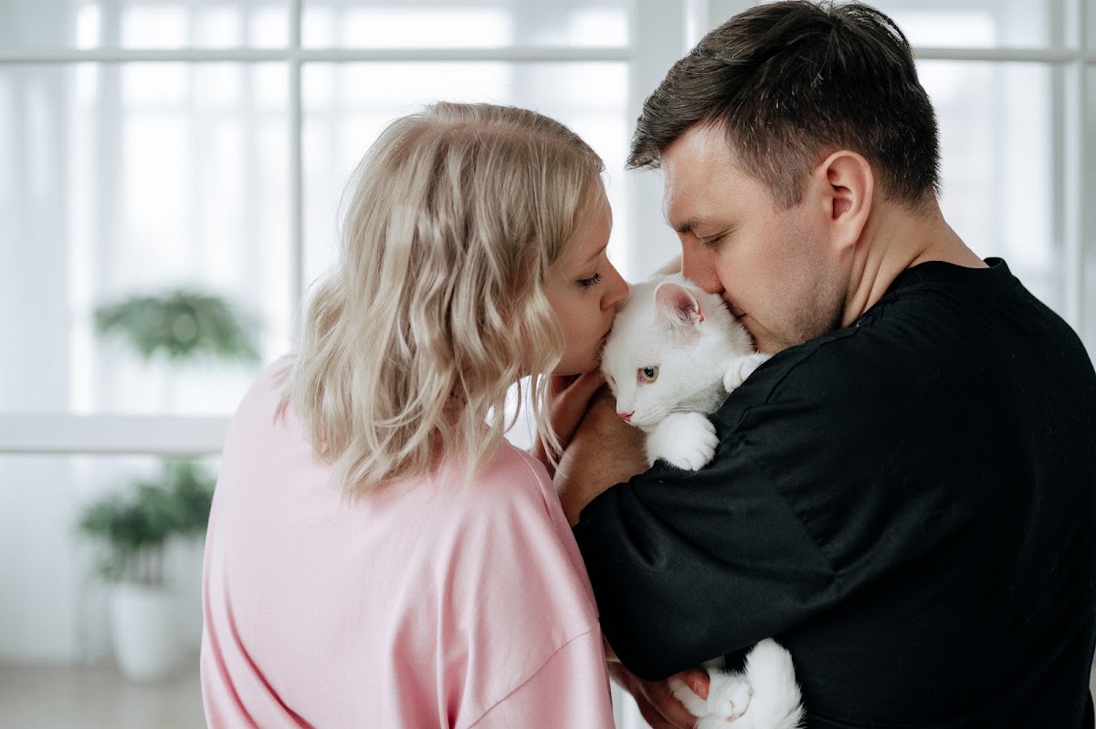 Love story с котами