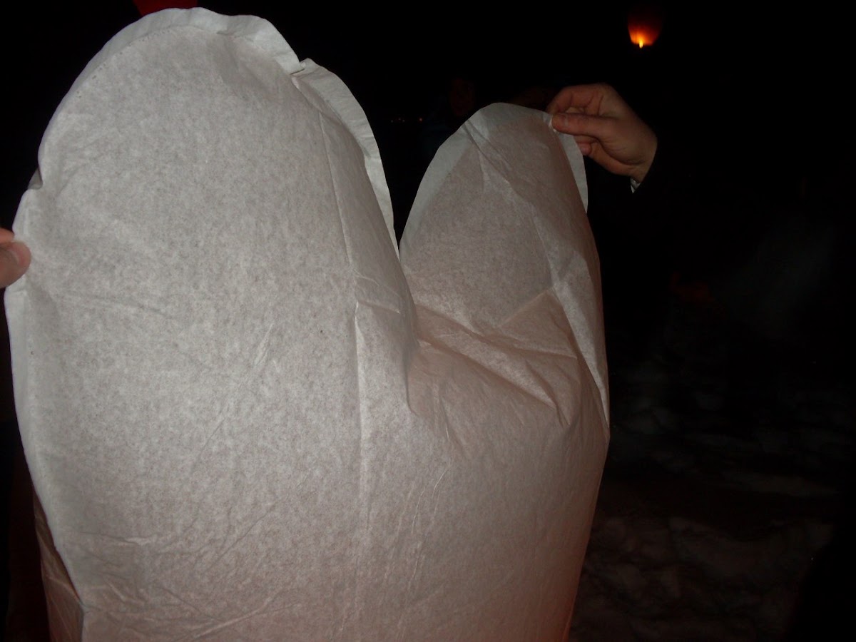 Наш массовый запуск 8 марта 2011
