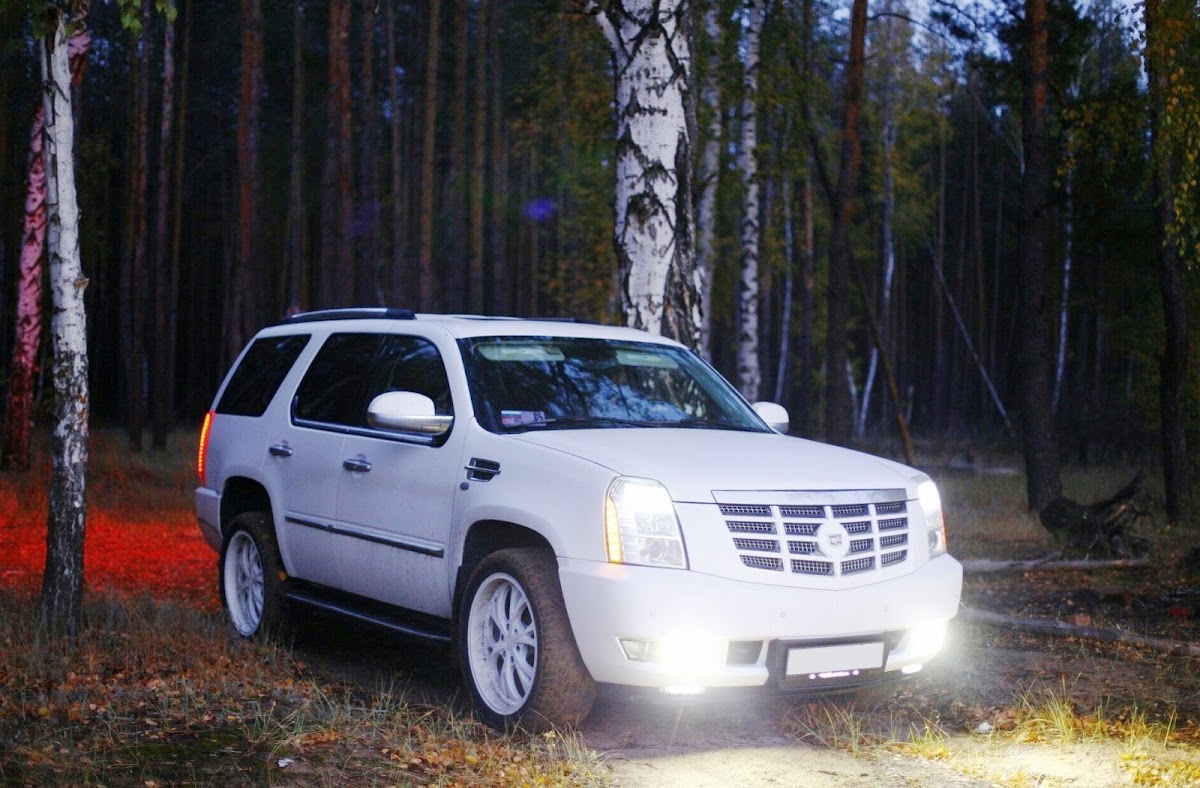 Escalade 7 Mest Vip — кадр 2 из 5